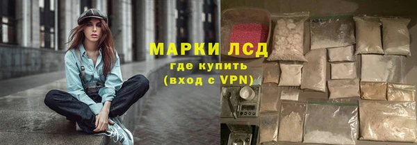 СК Новозыбков