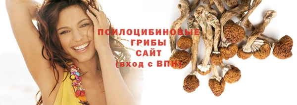 спиды Няндома