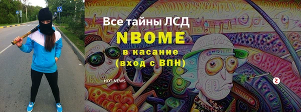 СК Новозыбков
