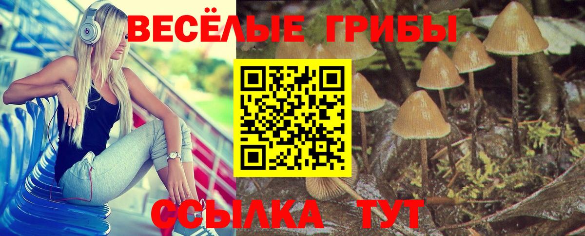 Псилоцибиновые грибы Magic Shrooms Зеленокумск